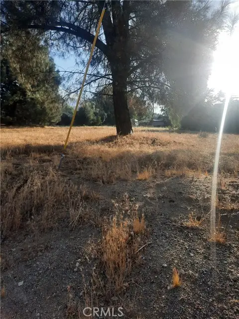 #2