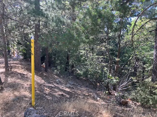 #3