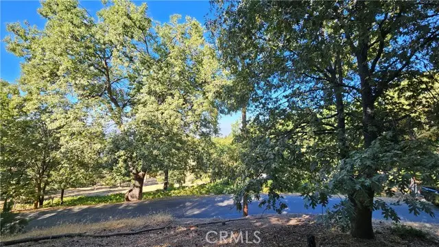 72 Park Drive, Running Springs, CA 92382 - #3