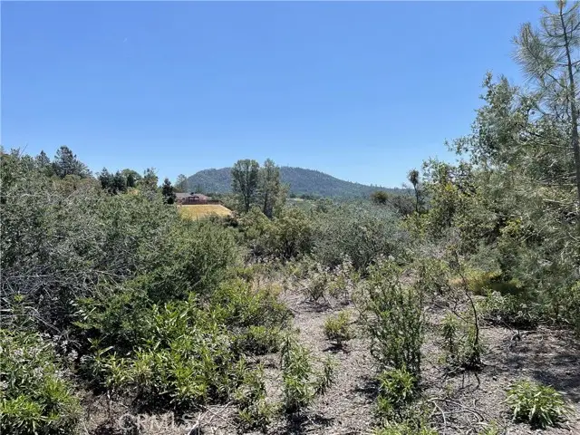 11 Suncrest Dr, Oakhurst, CA 93644 - #1