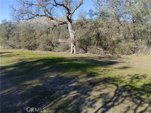 0 Deep Forest Drive, Coarsegold, CA 93614 - #1
