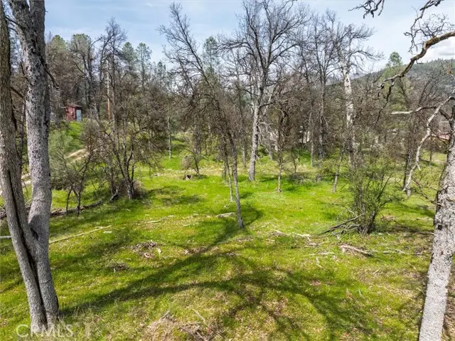 0 Springwood Court, Oakhurst, CA 93644 - #2