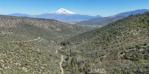 40 Scarface, Gazelle, CA 96034