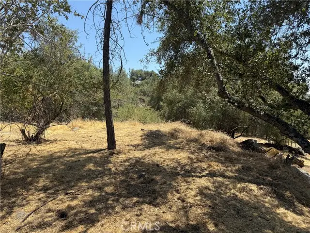 1 Dome Drive, Coarsegold, CA 93614 - #3