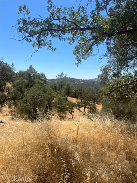 0 Deep Forest Drive, Coarsegold, CA 93614 - #1
