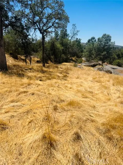 0 Deep Forest Drive, Coarsegold, CA 93614 - #2