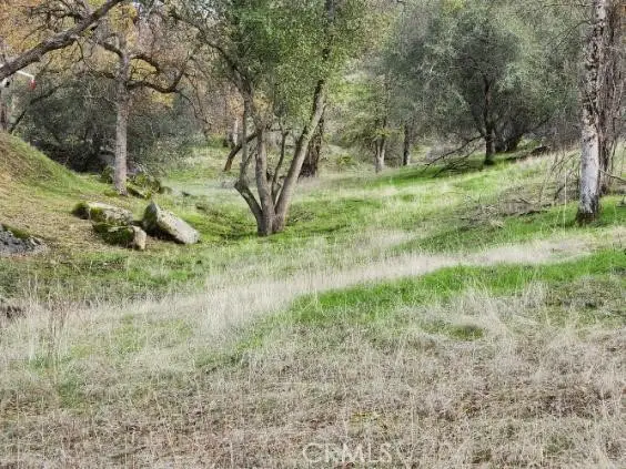 0 Deep Forest Drive, Coarsegold, CA 93614 - #3