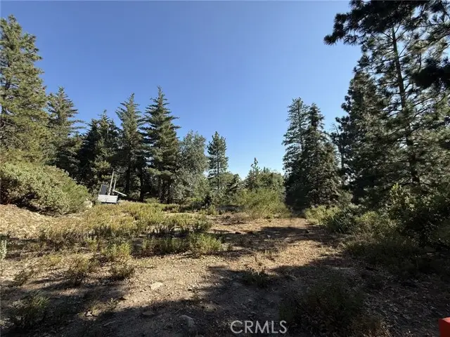 0 Ca-38, Angelus Oaks, CA 92305 - #2