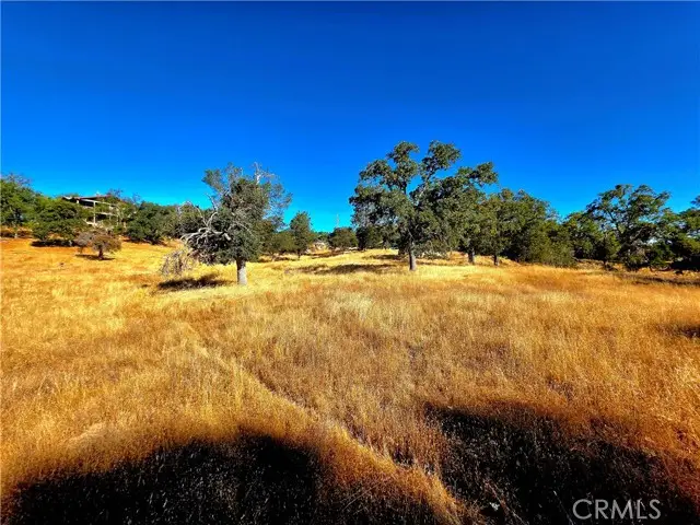 1 Lilley Mountain Drive, Coarsegold, CA 93614 - #1