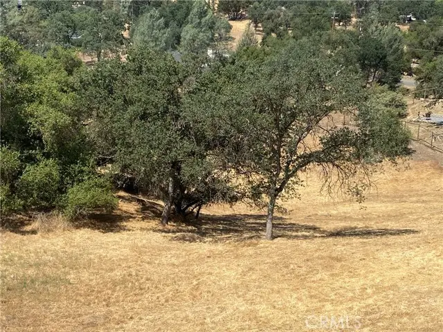 17 Titan Way Way, Coarsegold, CA 93614 - #2