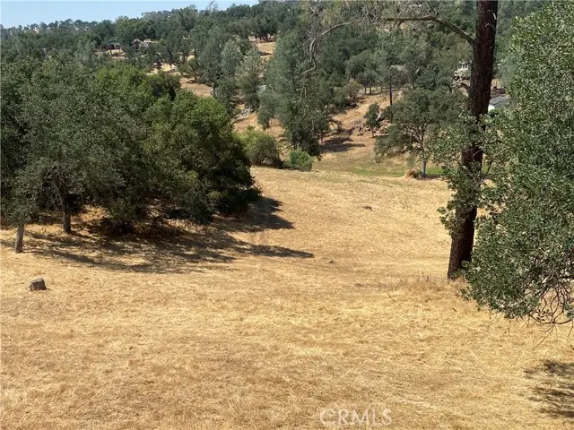 17 Titan Way Way, Coarsegold, CA 93614 - #3