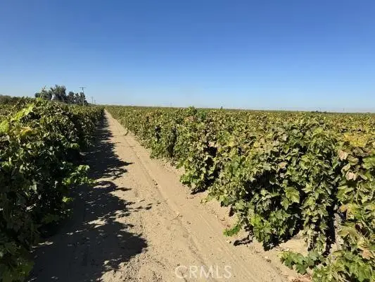 1 Bishop, Kerman, CA 93630