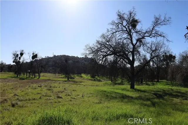 0 Douglas Road, Coarsegold, CA 93614 - #2