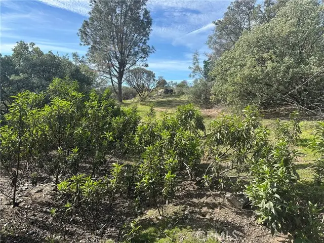 9 Quartz Ridge Court, Coarsegold, CA 93614 - #2