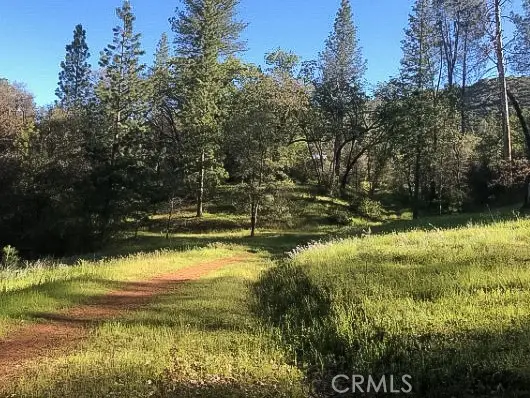 4743 Buffalo Gulch Road, Midpines, CA 95345 - #2