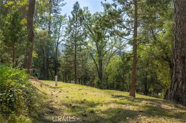 1 Oak Lane, Oakhurst, CA 93644 - #2