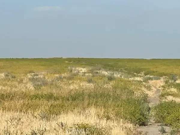 123 Poso Canal, Corcoran, CA 93212