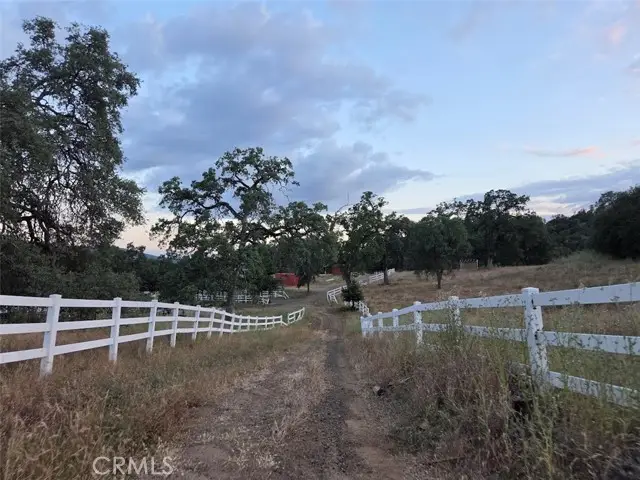 33555 Merrill Ranch Road, Knights Landing, CA 95645 - #3