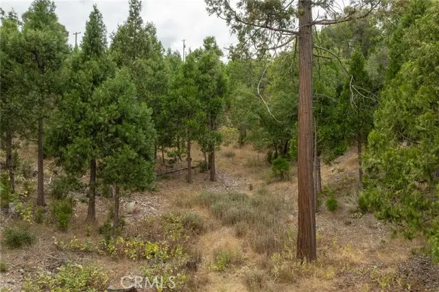 26 Timberview Road, North Fork, CA 93643 - #3