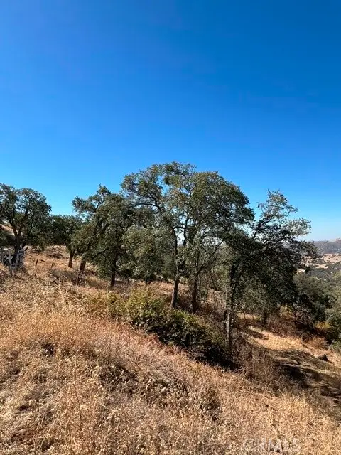 0 Thunderhill, Squaw Valley, CA 93675 - #2
