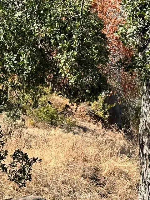 0 Thunderhill, Squaw Valley, CA 93675 - #3