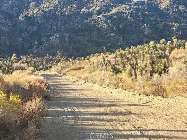 300 Z12 Street, Llano, CA 93544 - #1