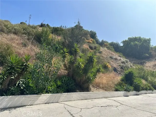 0 LOMA VISTA Street, Glendale, CA 91208 - #3