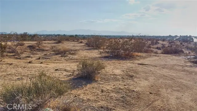 #2
