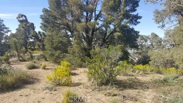0 Scenic Creek Drive, Pinon Hills, CA 92372 - #1