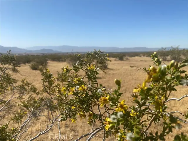 1 Falchion Road, Apple Valley, CA 92307 - #2