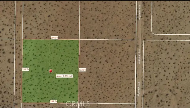 0 Near Algoman, Lucerne Valley, CA 92356 - #1