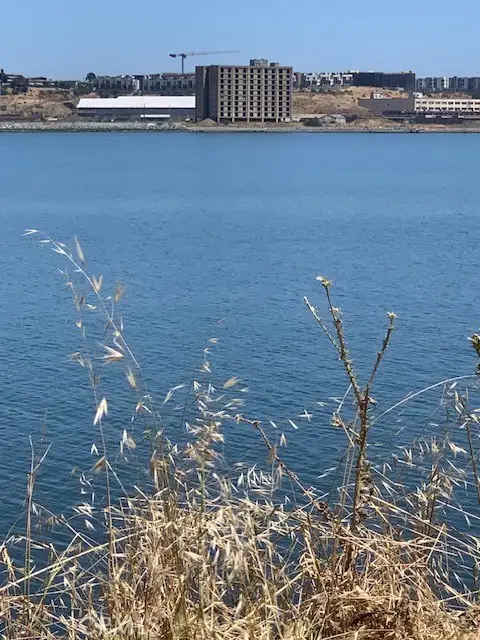 0 Ingerson Avenue, San Francisco, CA 94124 - #3