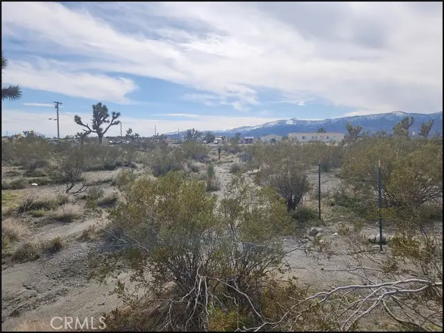 0 Duncan Road, Pinon Hills, CA 92372 - #3