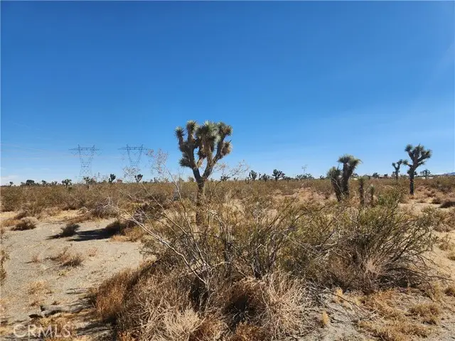 0 Colorado Road, Pinon Hills, CA 92372 - #3