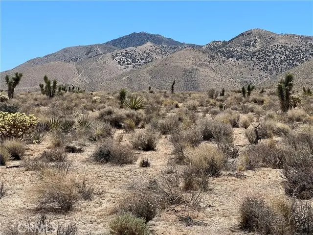 1 Sutter, Apple Valley, CA 92308 - #2