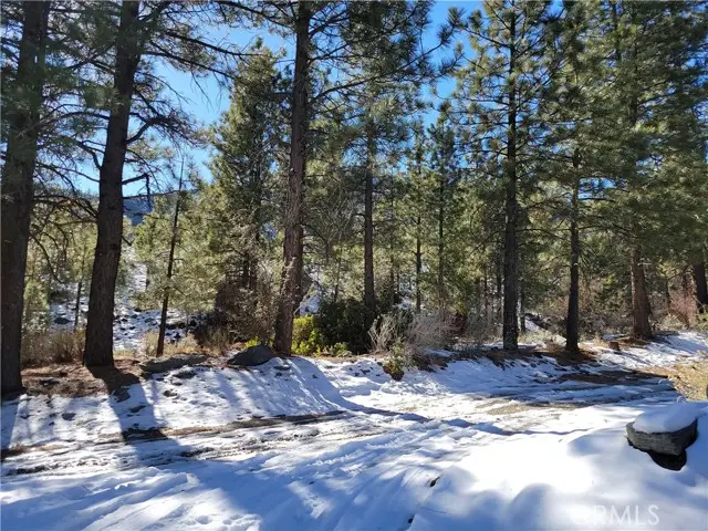 0 Blackbird, Wrightwood, CA 92397 - #3