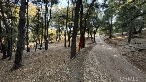 722 Mojave River Road, Cedarpines Park, CA 92322