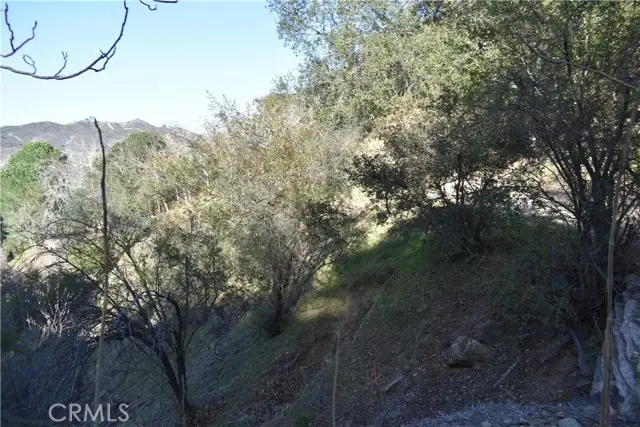 0 Crest Forest Dr, Cedarpines Park, CA 92322 - Image #1