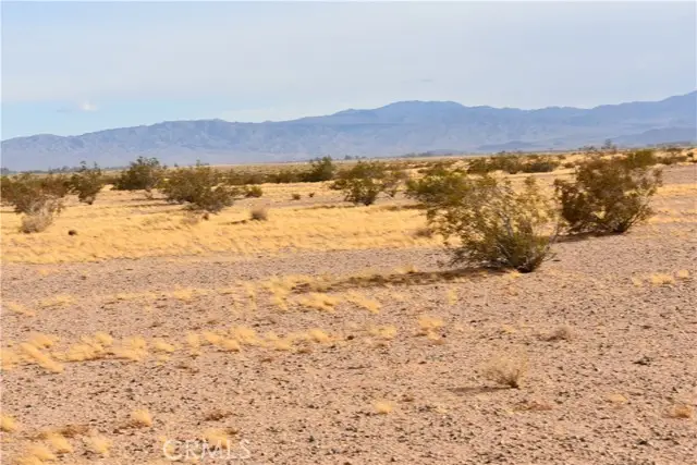 0 APN 0539-171-09-0000, Newberry Springs, CA 92365 - #1