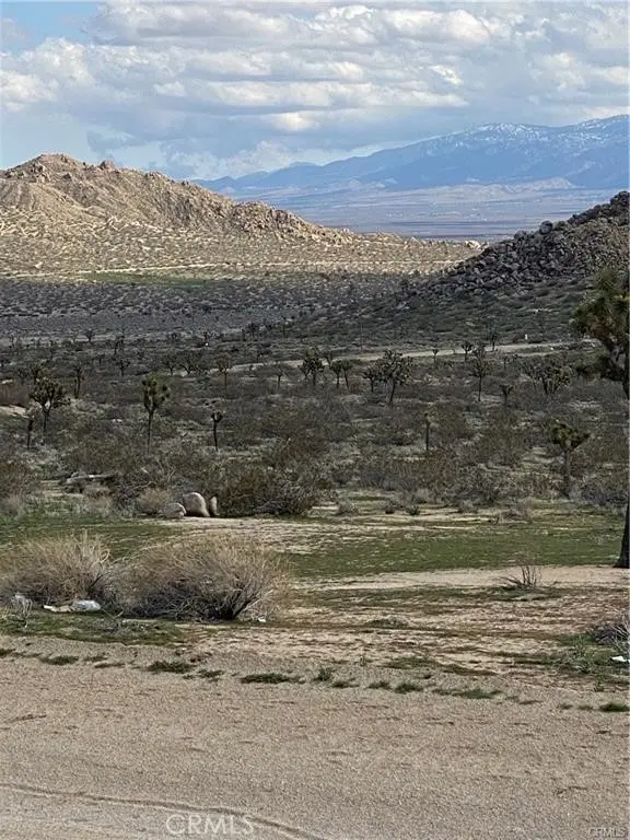 235 Avenue Q, Palmdale, CA 93550 - #2