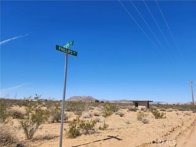0 Sespe Street, Landers, CA 92285 - #2