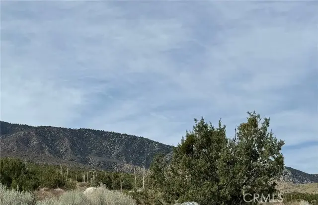 0 Avenue Z, Llano, CA 93544 - #2