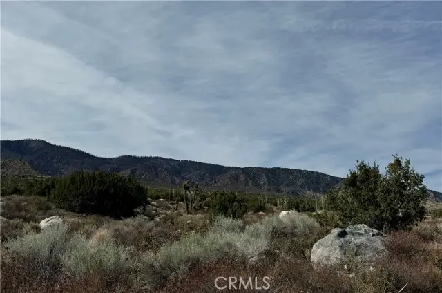 0 Avenue Z, Llano, CA 93544 - #3