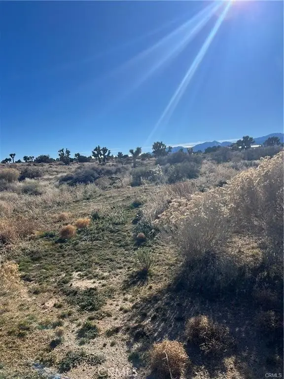 0 Tricobble Court, Phelan, CA 92371 - #3