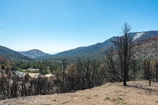 0 North Cardinal Rd, Wrightwood, CA 92397 - #1