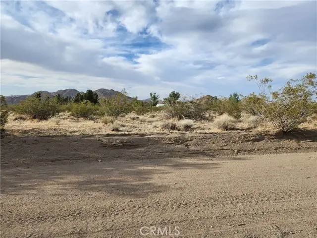 #3