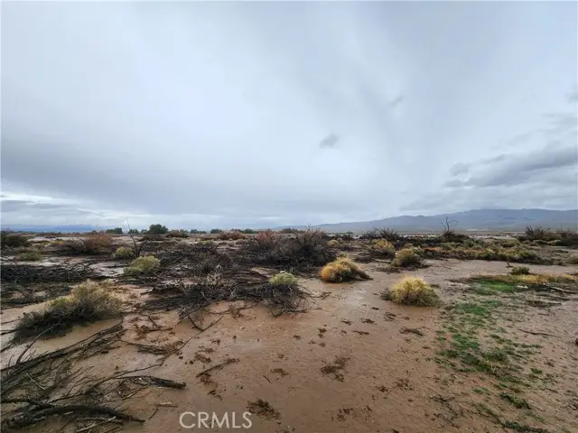 20 Morgan Lane, Lucerne Valley, CA 92356 - #3