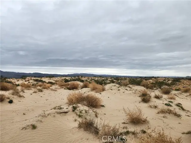 40 on Yearling Road, Lucerne Valley, CA 92356 - #3