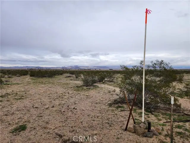 40 Near Center Road, Lucerne Valley, CA 92356 - #1