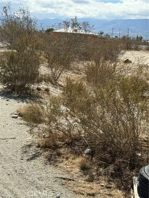 0 Beekley Road, Pinon Hills, CA 92372 - #2